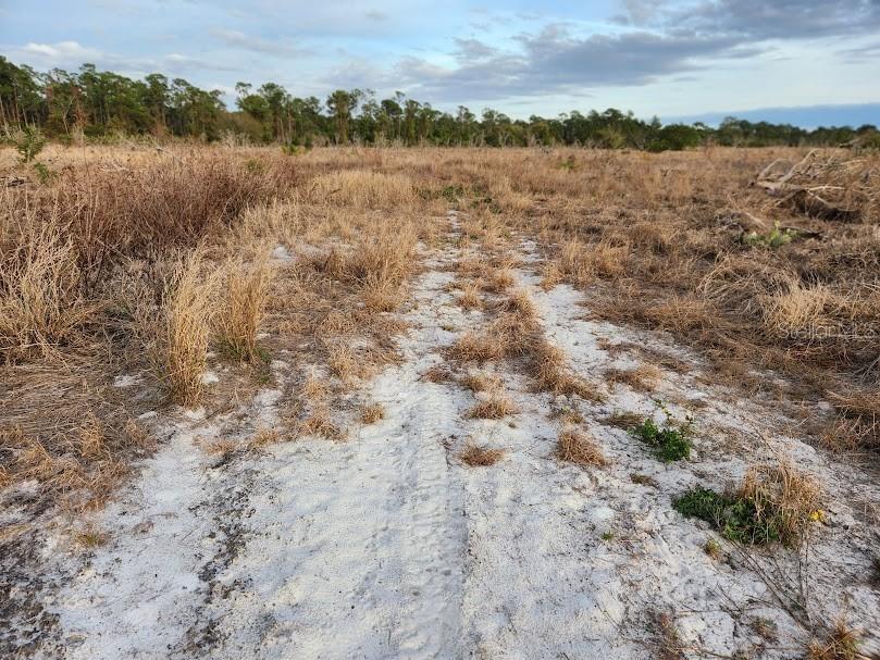 W Frostproof Road #LOT 13 Frostproof FL 33843 G5091869 image8