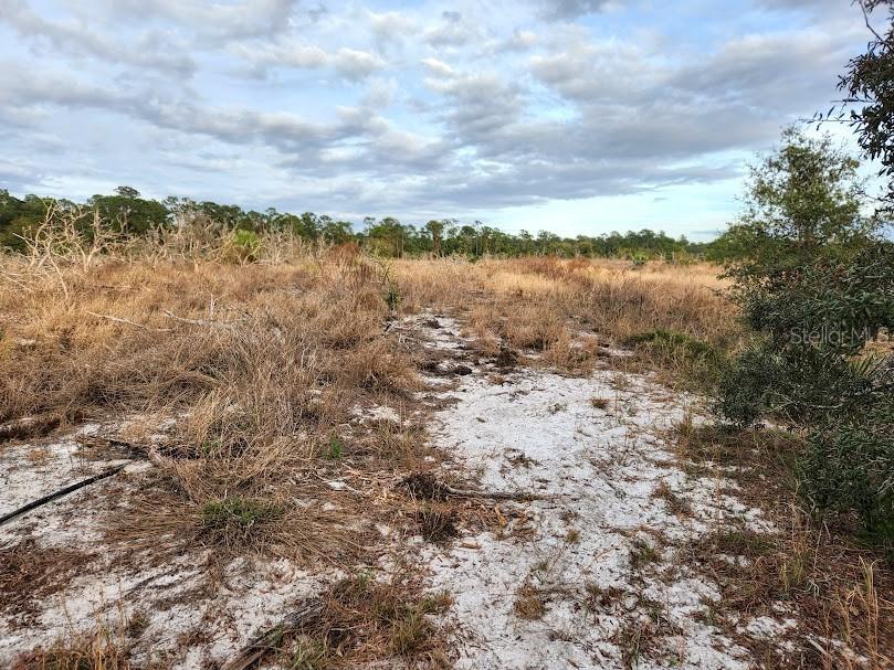 W Frostproof Road #LOT 13 Frostproof FL 33843 G5091869 image9