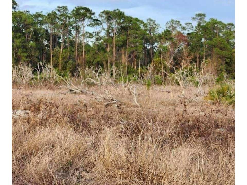 W Frostproof Road #LOT 17 Frostproof FL 33843 G5100284 image1