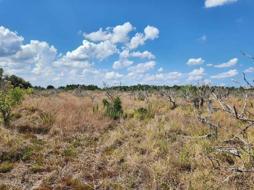 W Frostproof Road #LOT 17 Frostproof FL 33843 G5100284 image10