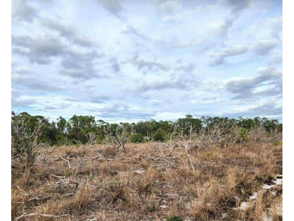 W Frostproof Road #LOT 17 Frostproof FL 33843 G5100284 image2