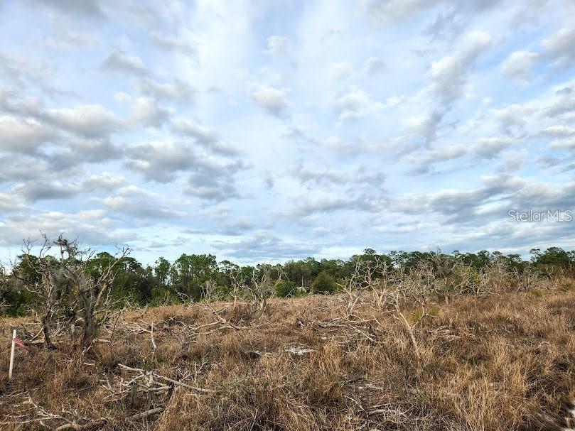 W Frostproof Road #LOT 17 Frostproof FL 33843 G5100284 image4