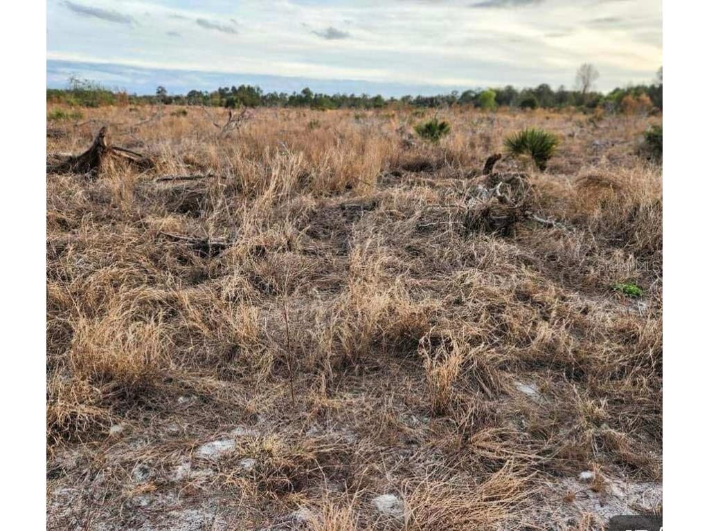 W Frostproof Road #LOT 17 Frostproof FL 33843 G5100284 image5