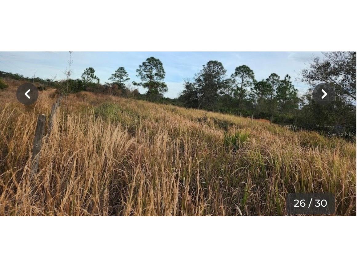 W Frostproof Road #LOT 17 Frostproof FL 33843 G5100284 image6