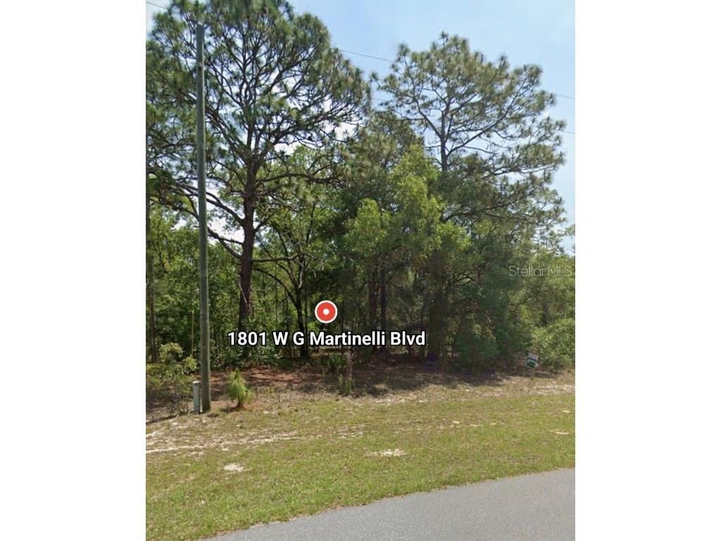 1801 W G Martinelli Blvd Citrus Springs FL 34434 O6335849 image1