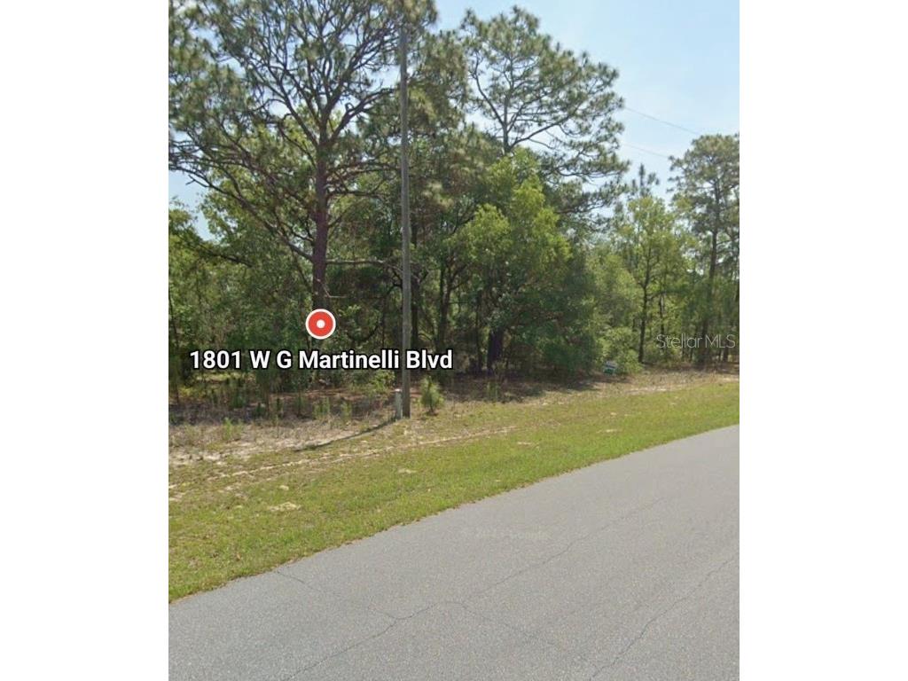 1801 W G Martinelli Blvd Citrus Springs FL 34434 O6335849 image2