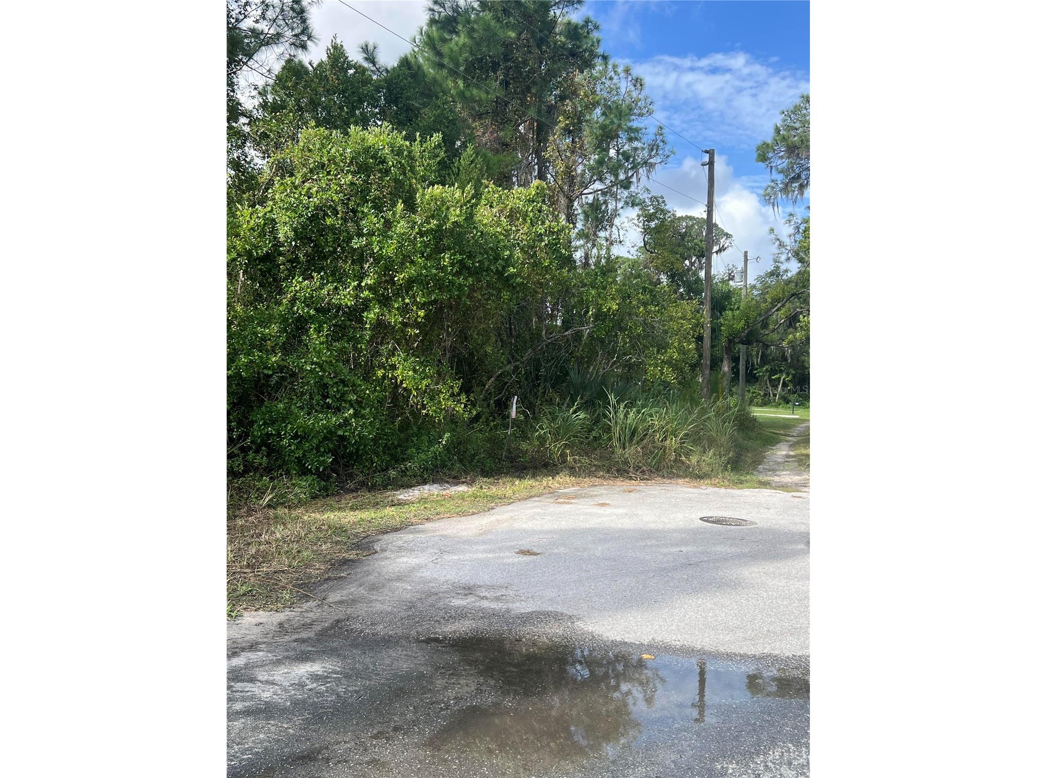 W Herrick Avenue Eustis FL 32726 G5104849 image1