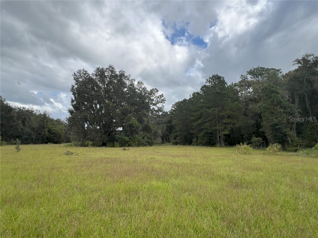 W Hwy 318 Citra FL 32113 TB8312334 image1