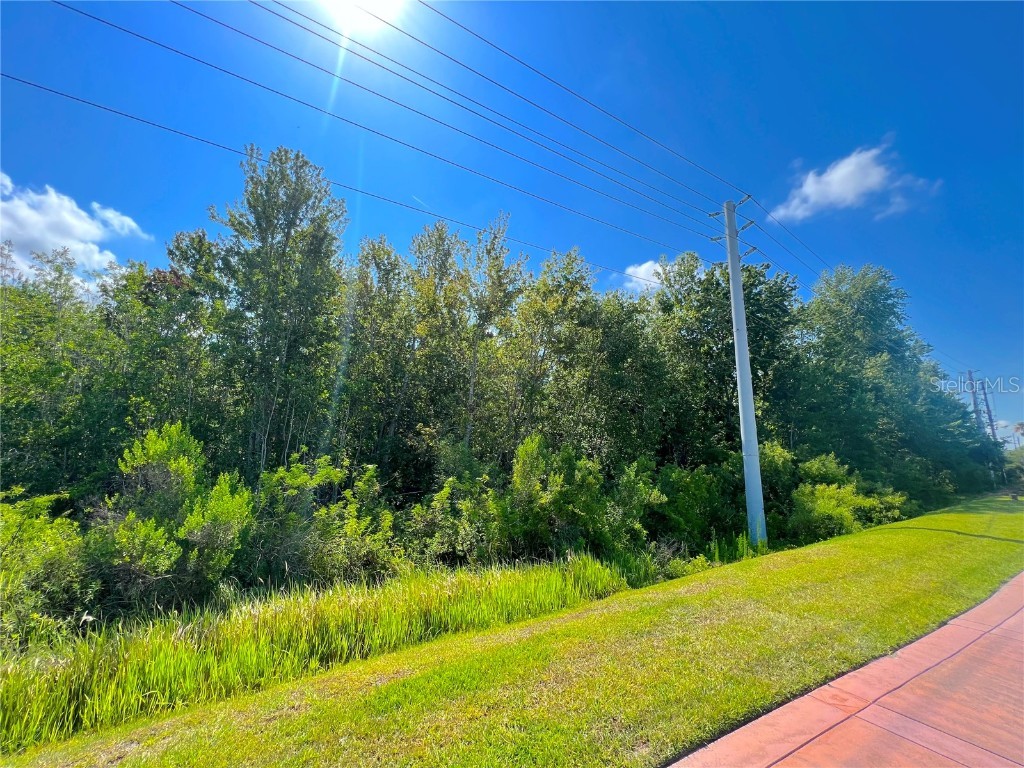 W Irlo Bronson Memorial Highway Kissimmee FL 34746 S5085096 image19