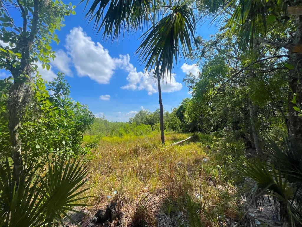 W Irlo Bronson Memorial Highway Kissimmee FL 34746 S5085096 image22