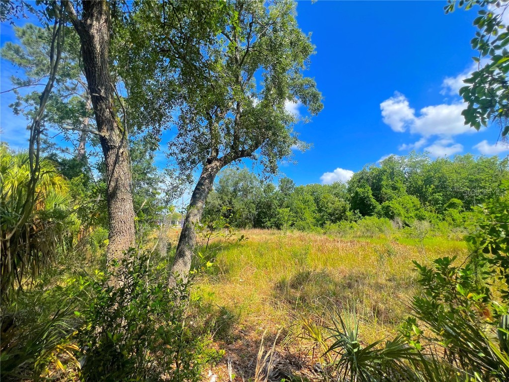 W Irlo Bronson Memorial Highway Kissimmee FL 34746 S5085096 image23