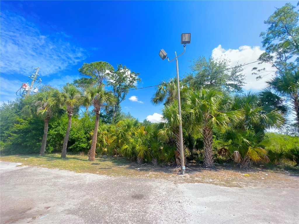 W Irlo Bronson Memorial Highway Kissimmee FL 34746 S5085096 image6