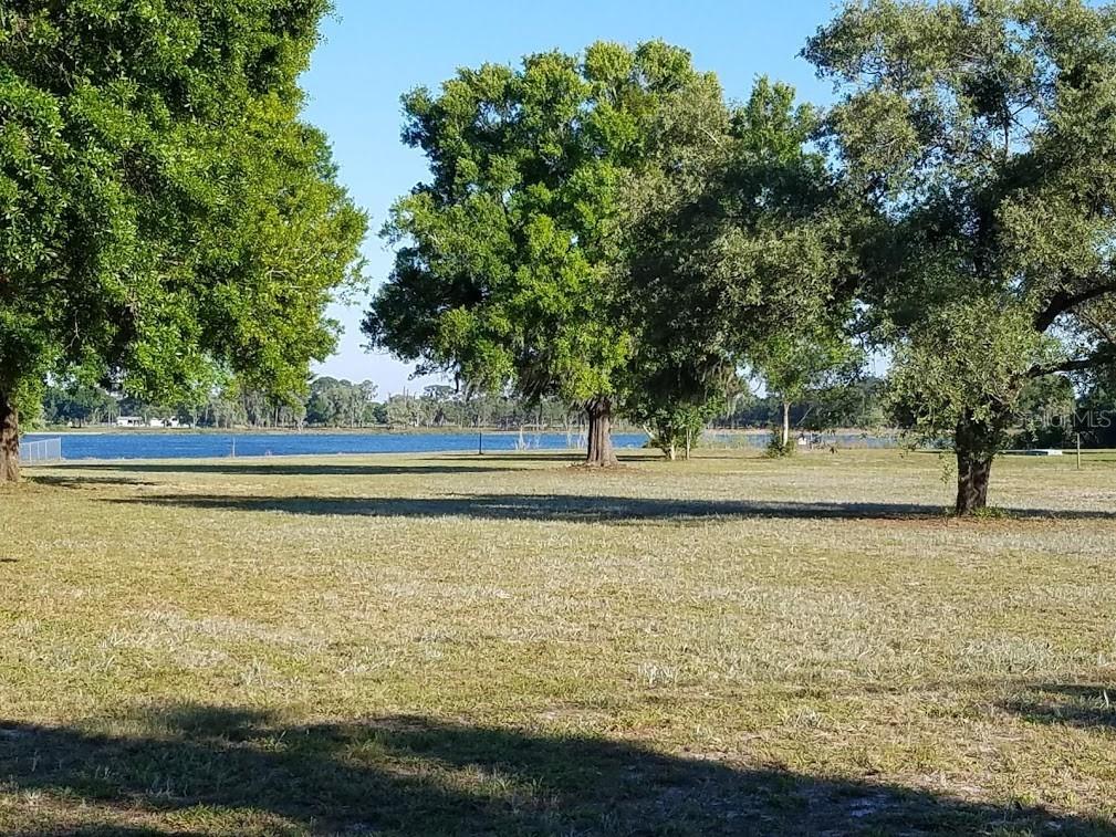 W Lake Dr Wimauma FL 33598 - LAKE WIMAUMA T3483772 image1