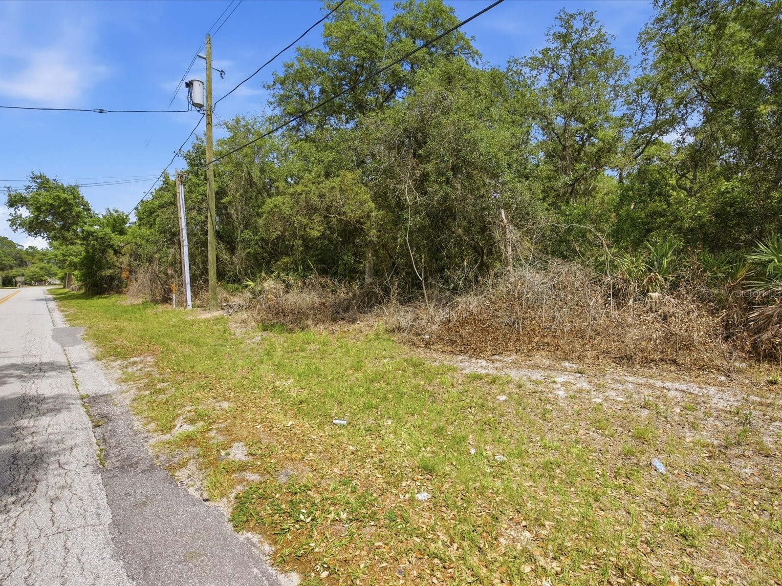 W Lake Drive Deland FL 32724 O6406128 image5
