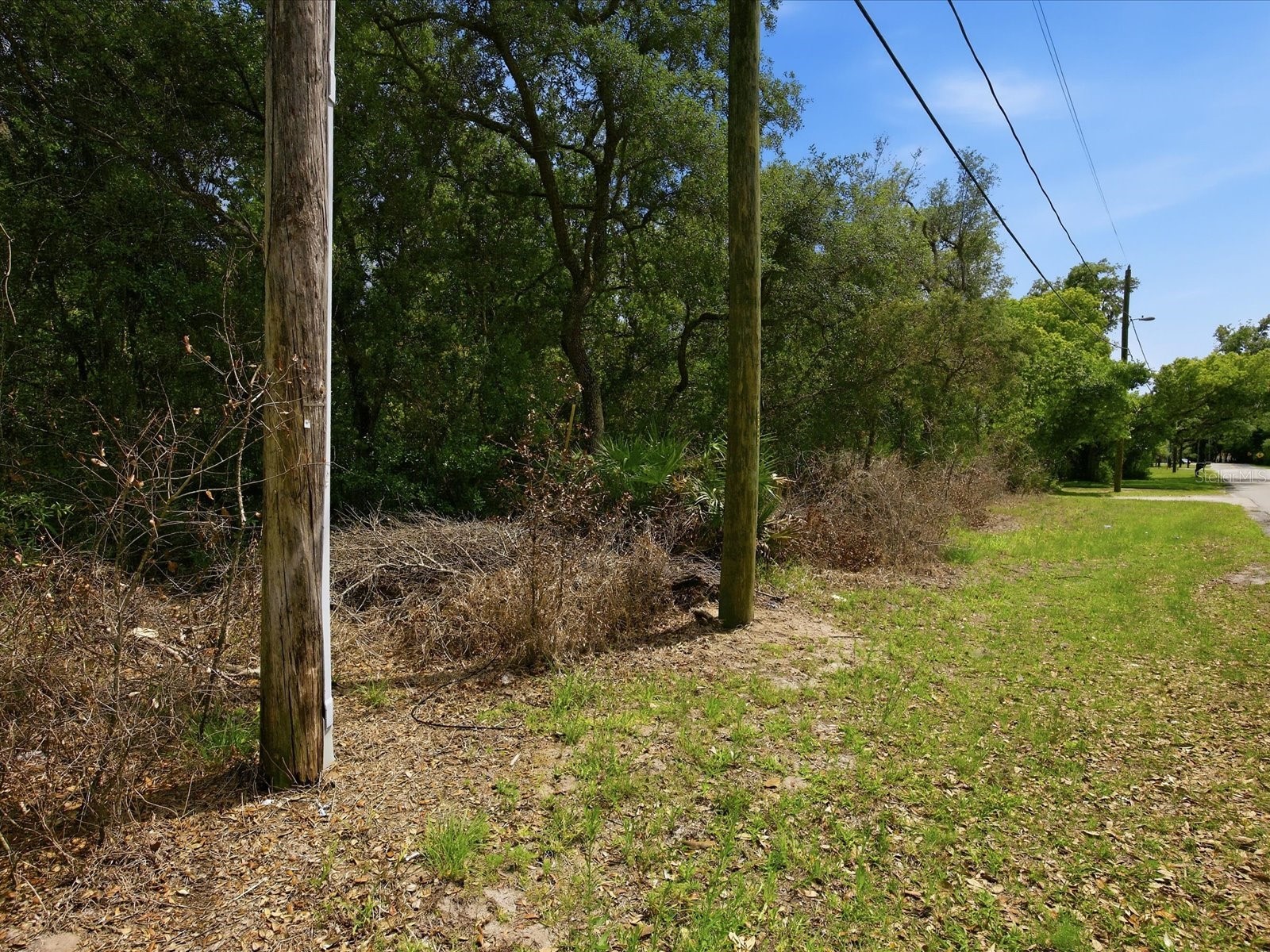 W Lake Drive Deland FL 32724 O6406128 image6
