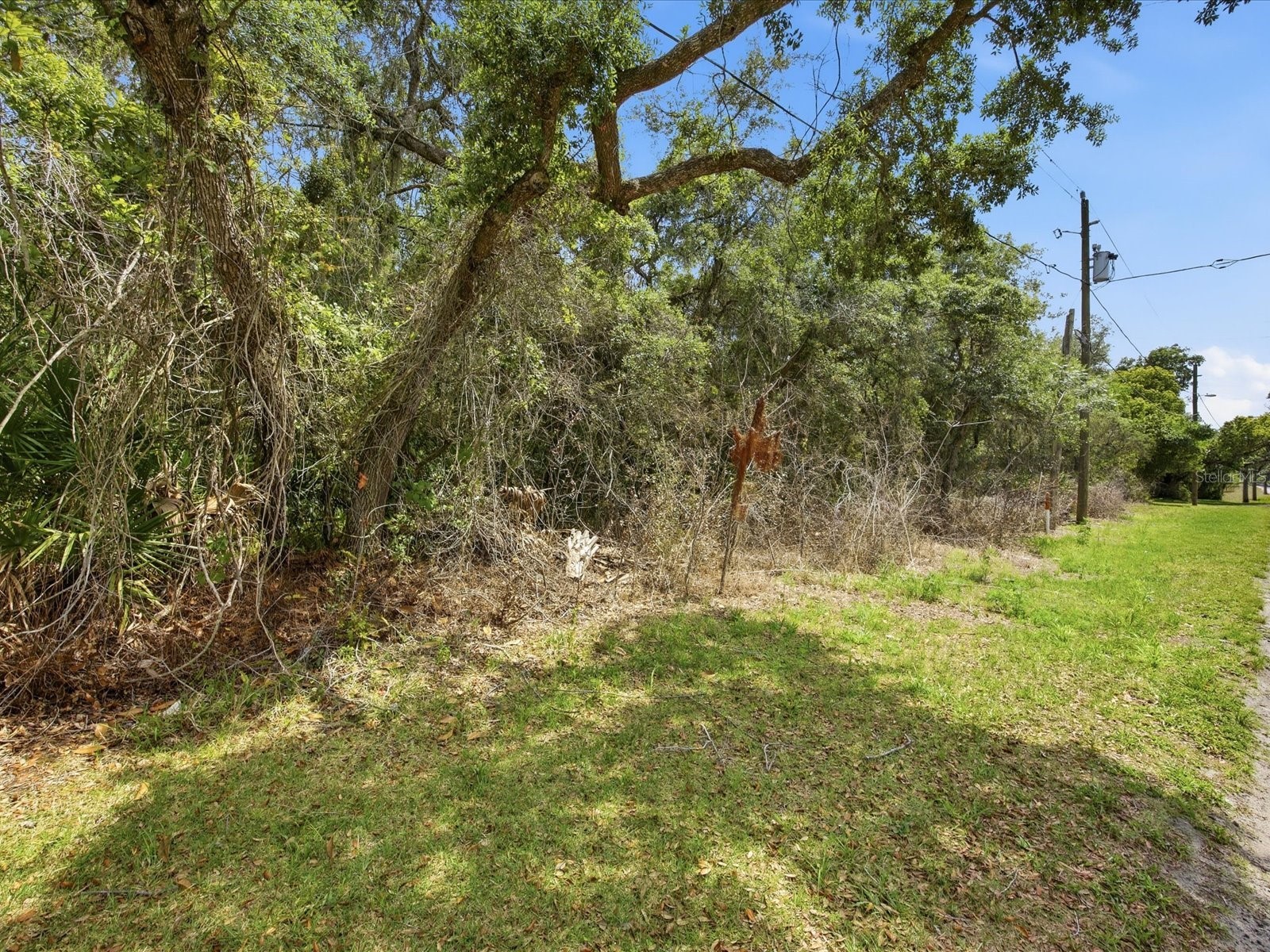 W Lake Drive Deland FL 32724 - LAKE DAYTONA O6406132 image6