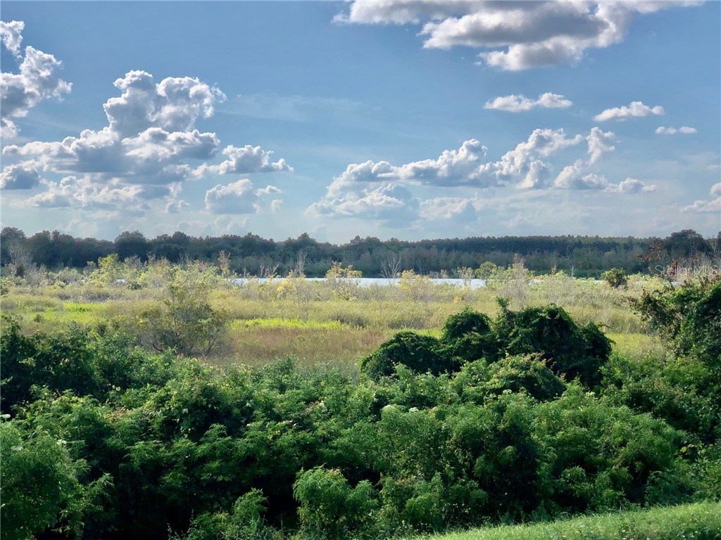 W Lake Yale Road Umatilla FL 32784 T3495865 image3