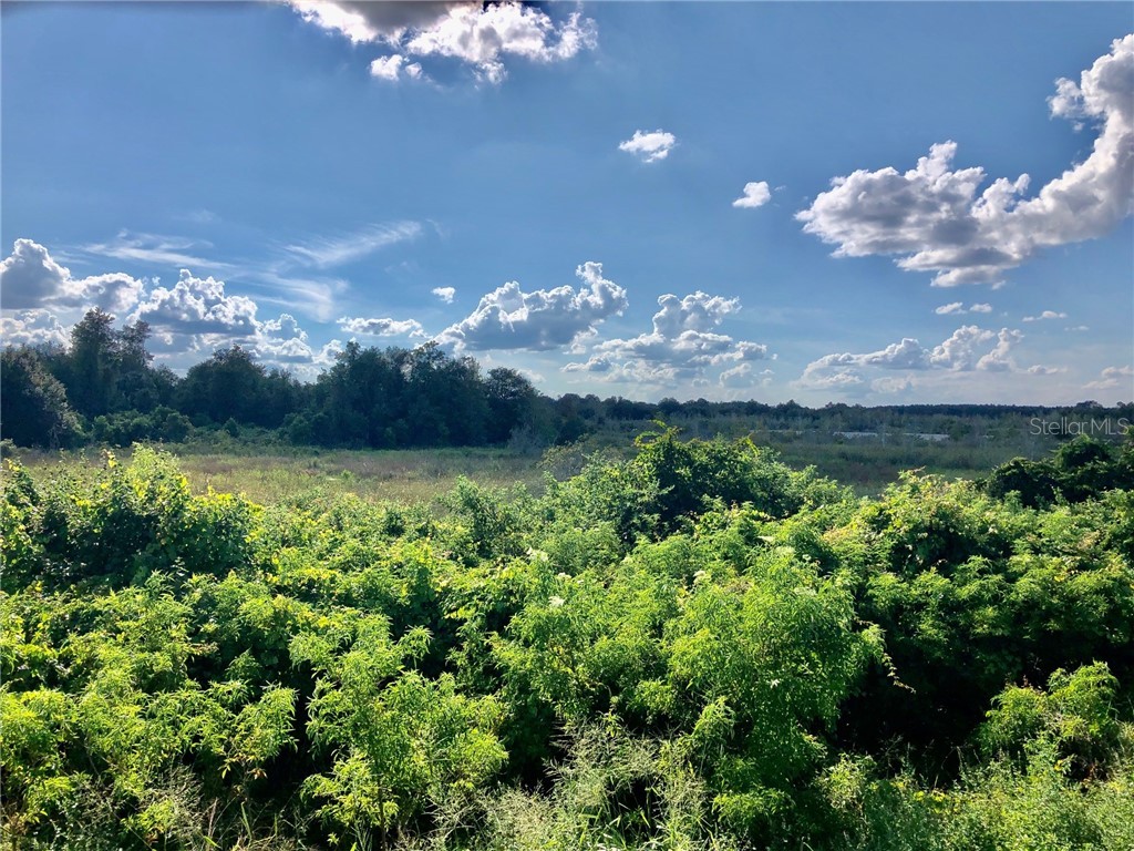 W Lake Yale Road Umatilla FL 32784 T3495865 image4