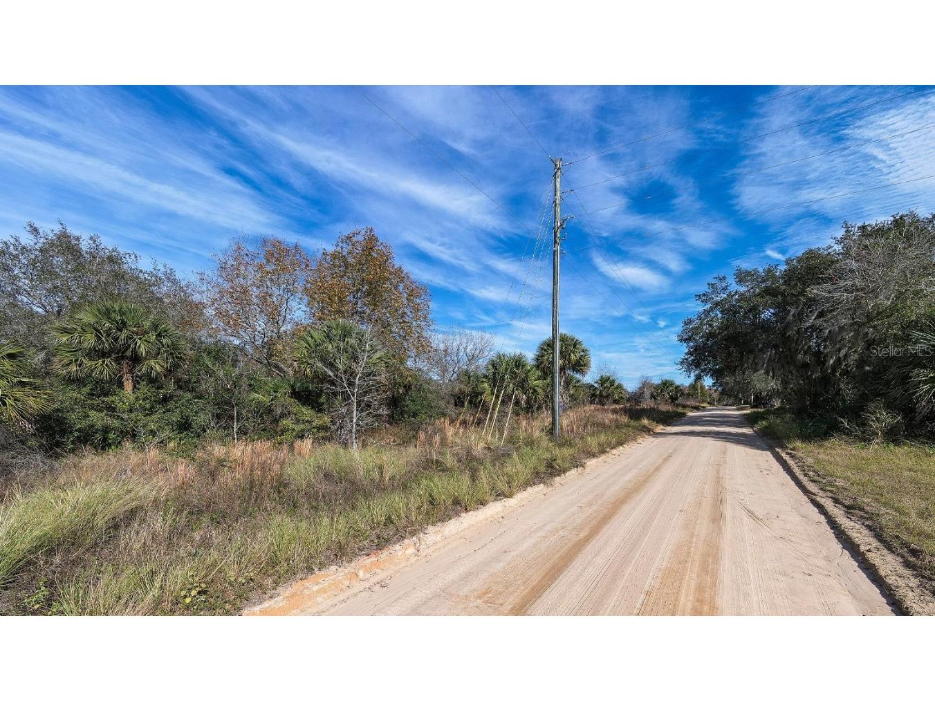 W Lake Yale Road Umatilla FL 32784 T3495865 image5