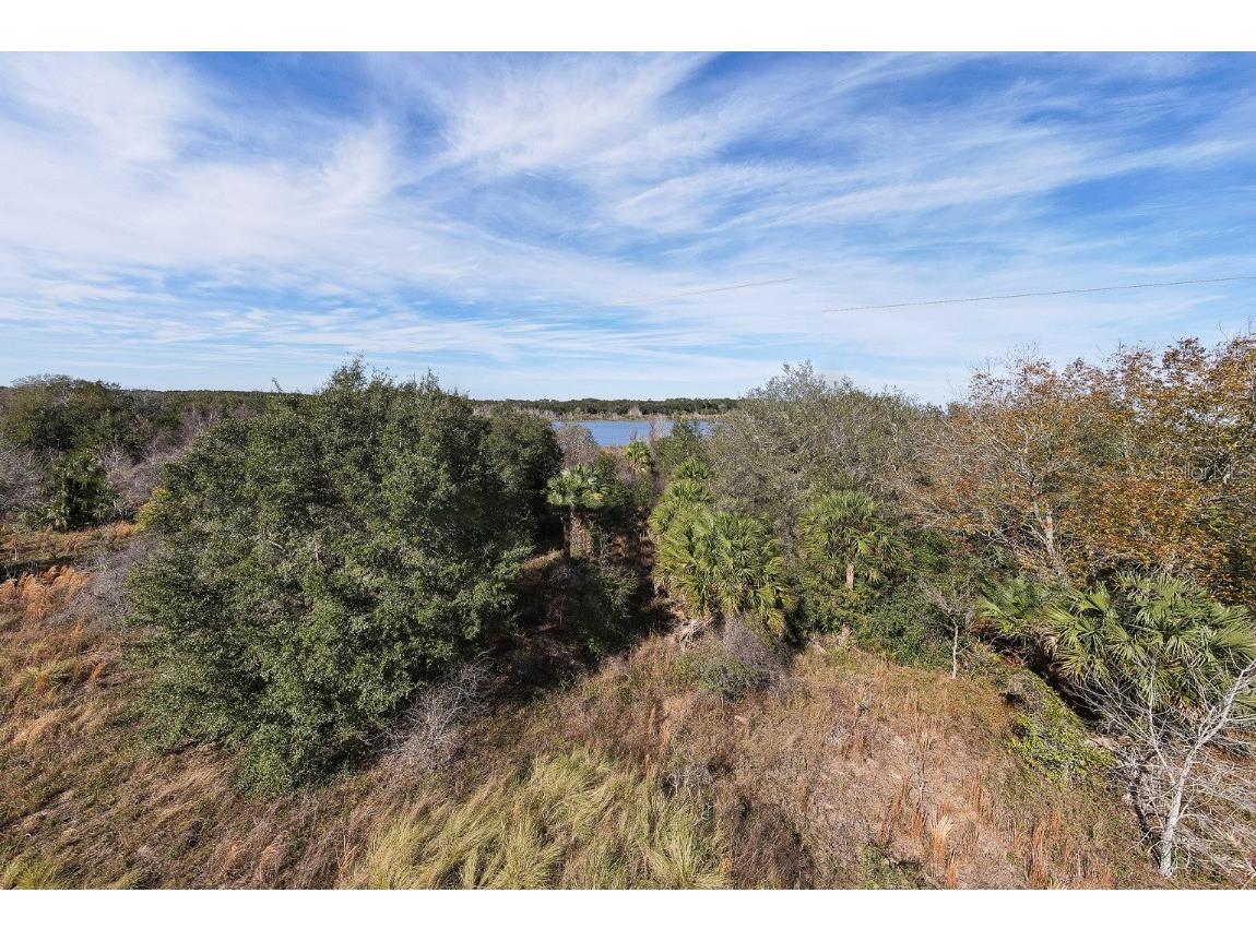 W Lake Yale Road Umatilla FL 32784 T3495865 image6