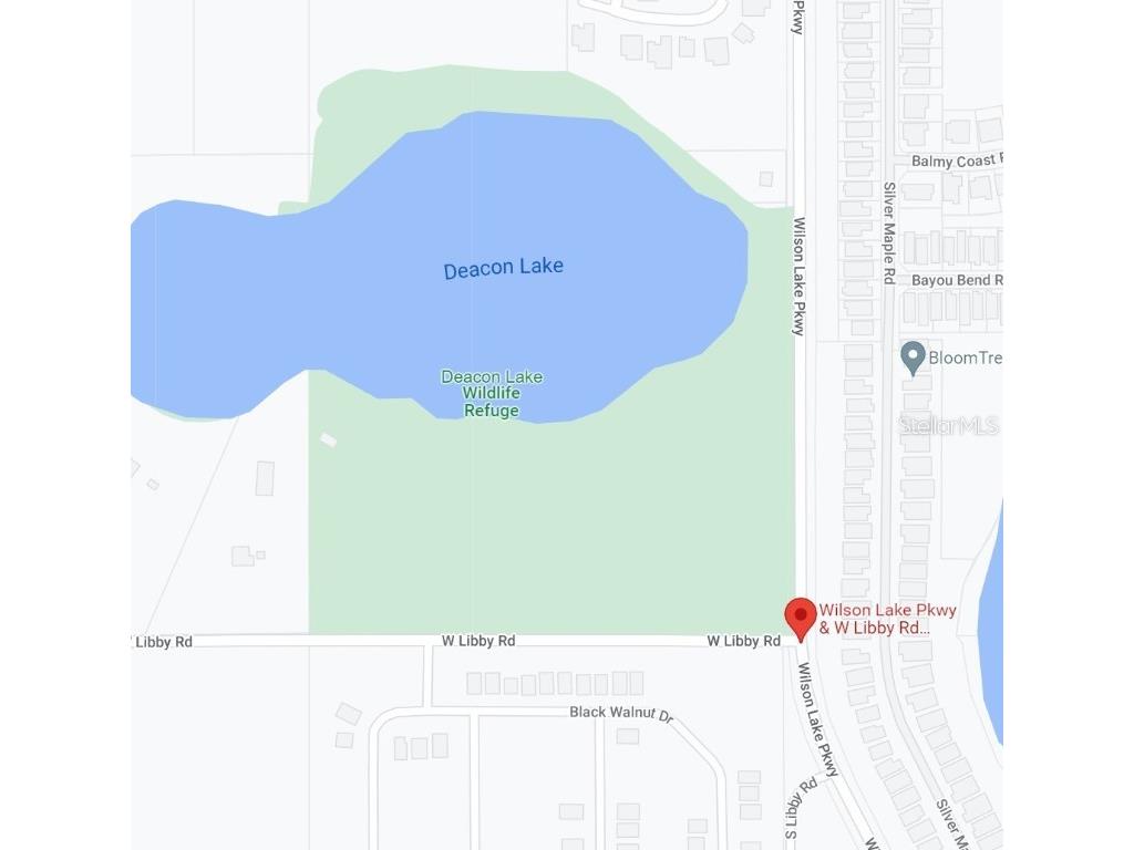 W Libby Road Groveland FL 34736 O6024005 image1