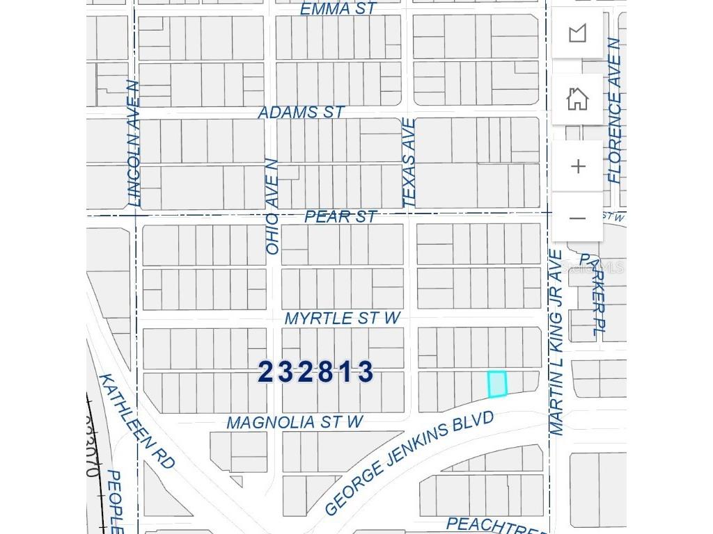 W Magnolia Street Lakeland FL 33815 P4933411 image2