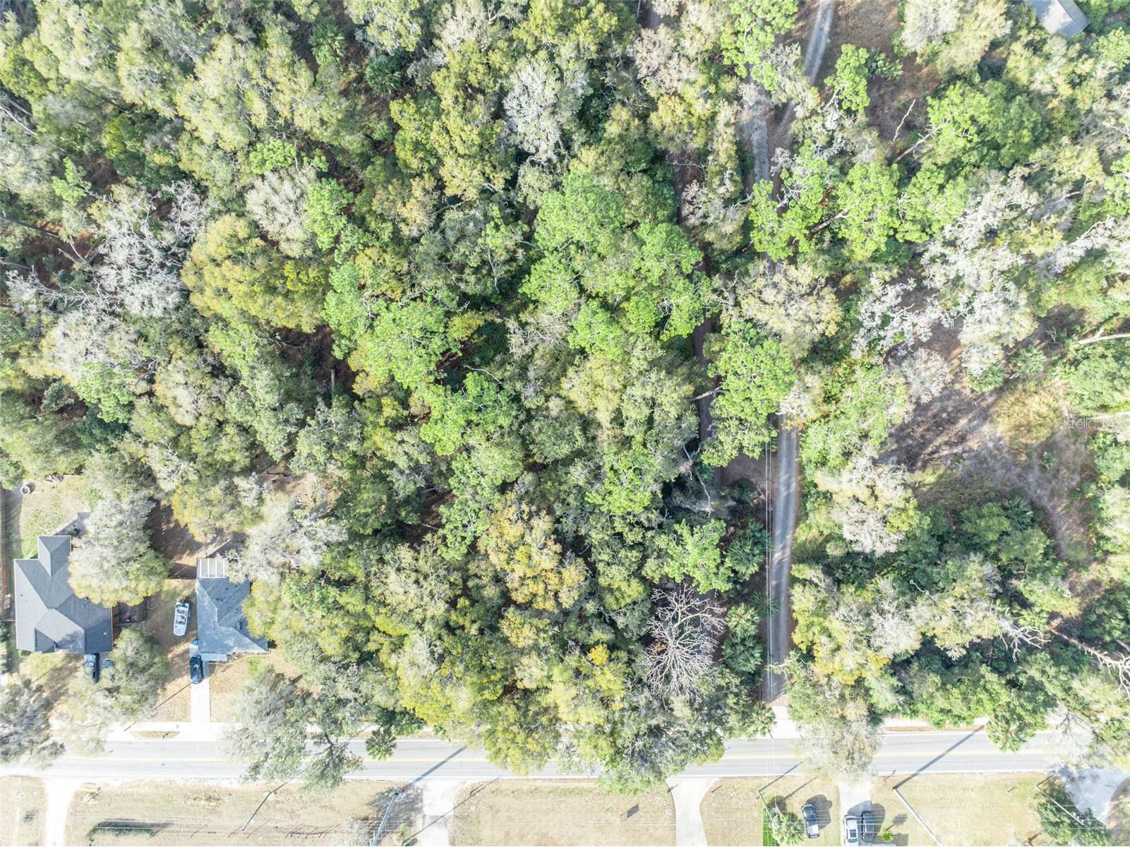 W New York Avenue Orange City FL 32763 O6381732 image13