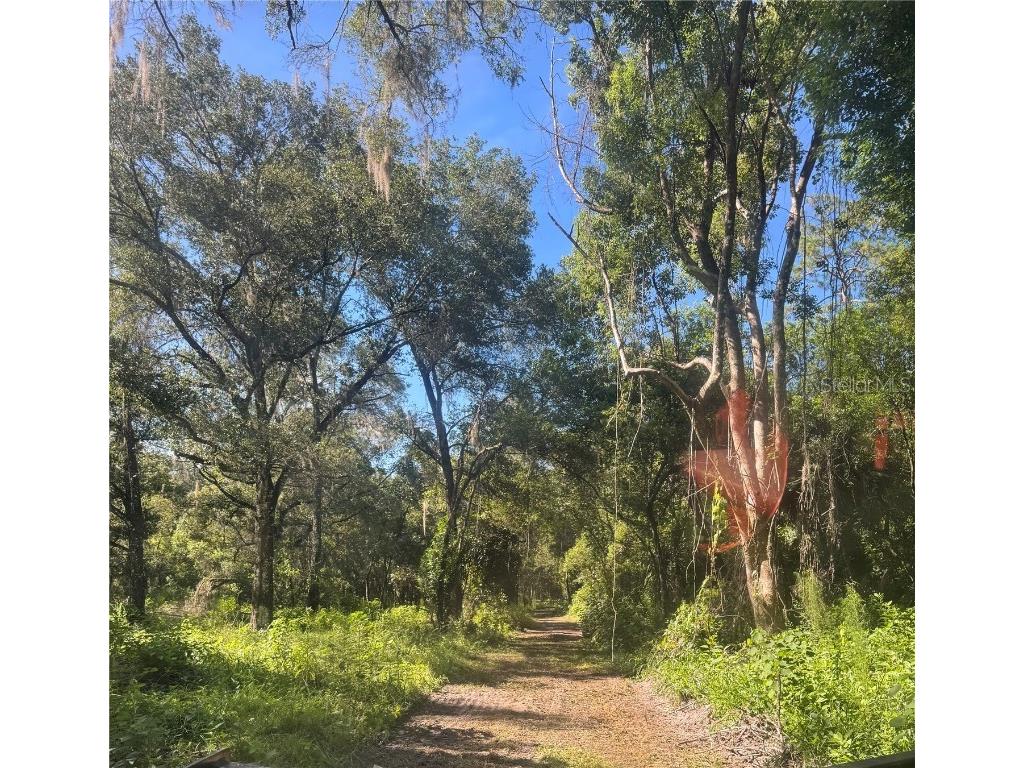 W Ohio Avenue Lake Helen FL 32744 V4944247 image2