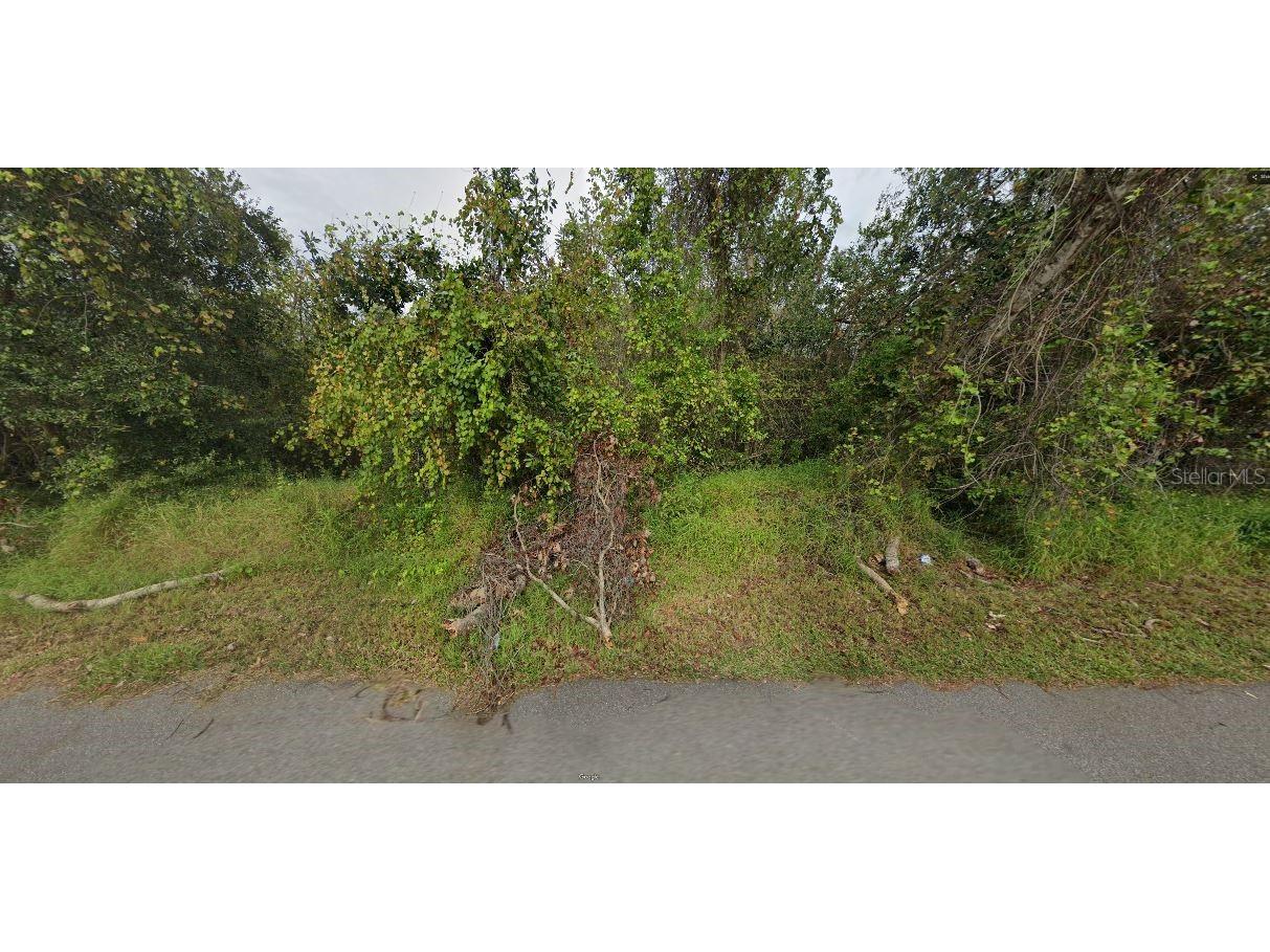 W Orange Country Club Drive Winter Garden FL 34787 O6244629 image3