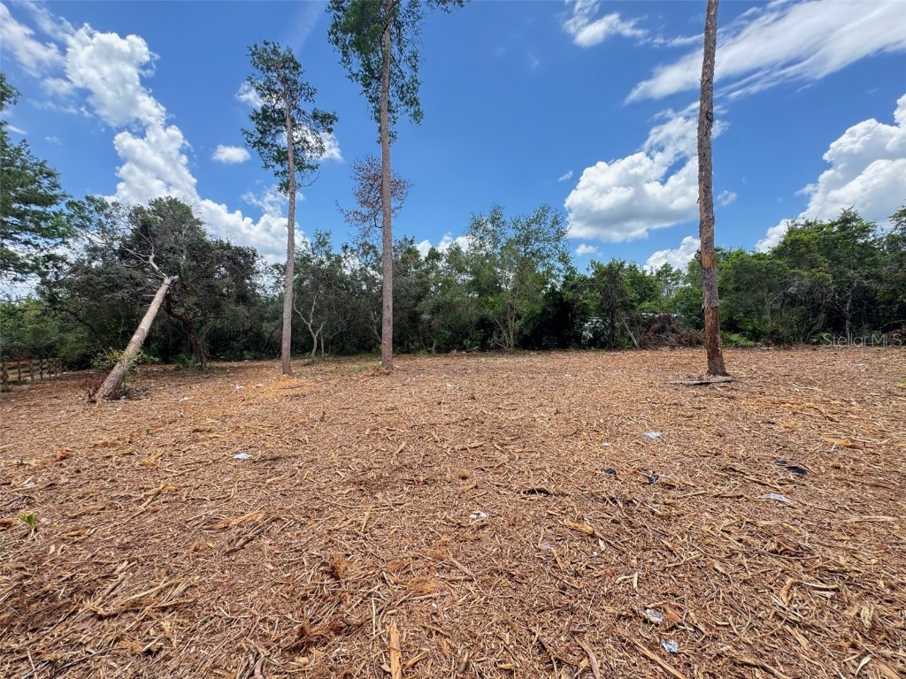 W Pine Street Paisley FL 32767 G5100121 image5