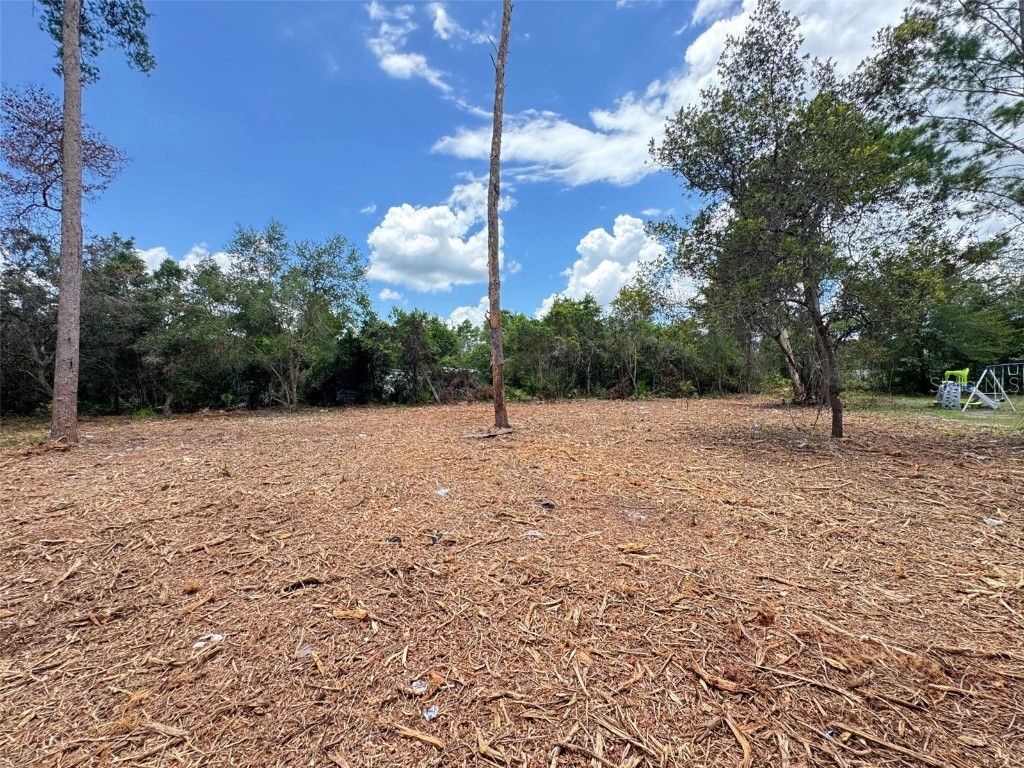 W Pine Street Paisley FL 32767 G5100121 image6