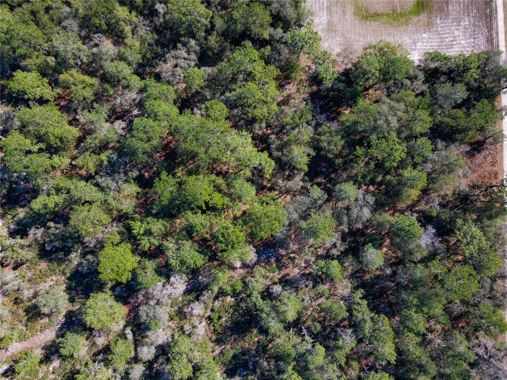 W Rhode Island Avenue Orange City FL 32763 O6143880 image9