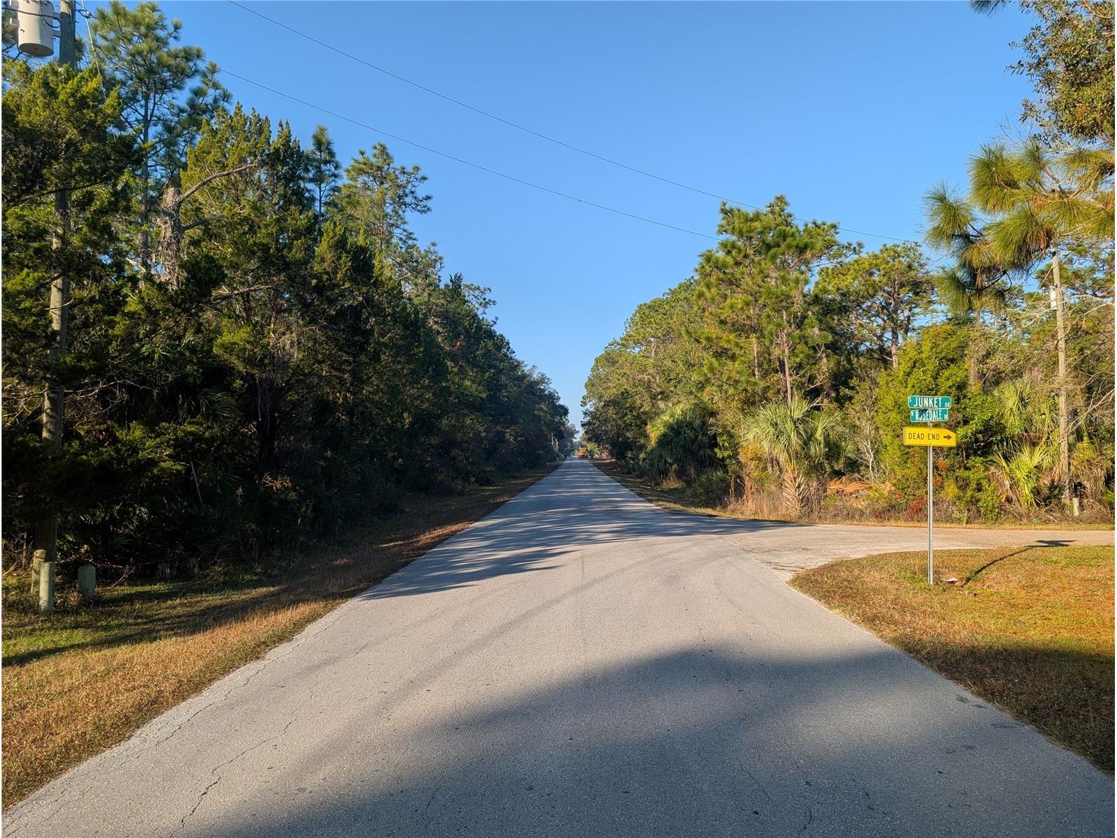 W Rosedale Drive Homosassa FL 34448 A4677678 image3