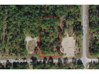 W Sandpiper Avenue Weeki Wachee FL 34614 O6090898 image1