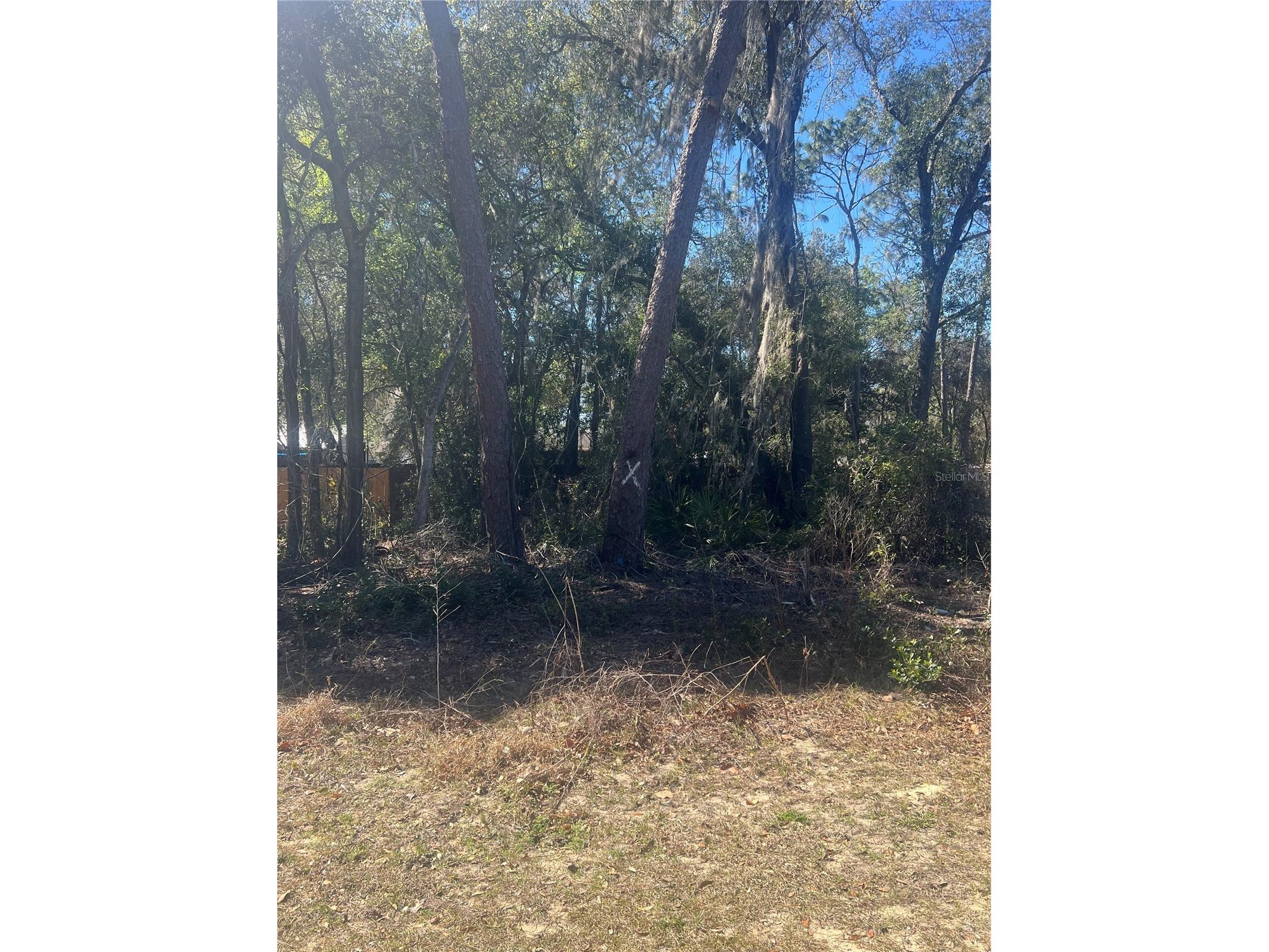 W Second Avenue Umatilla FL 32784 G5108760 image1