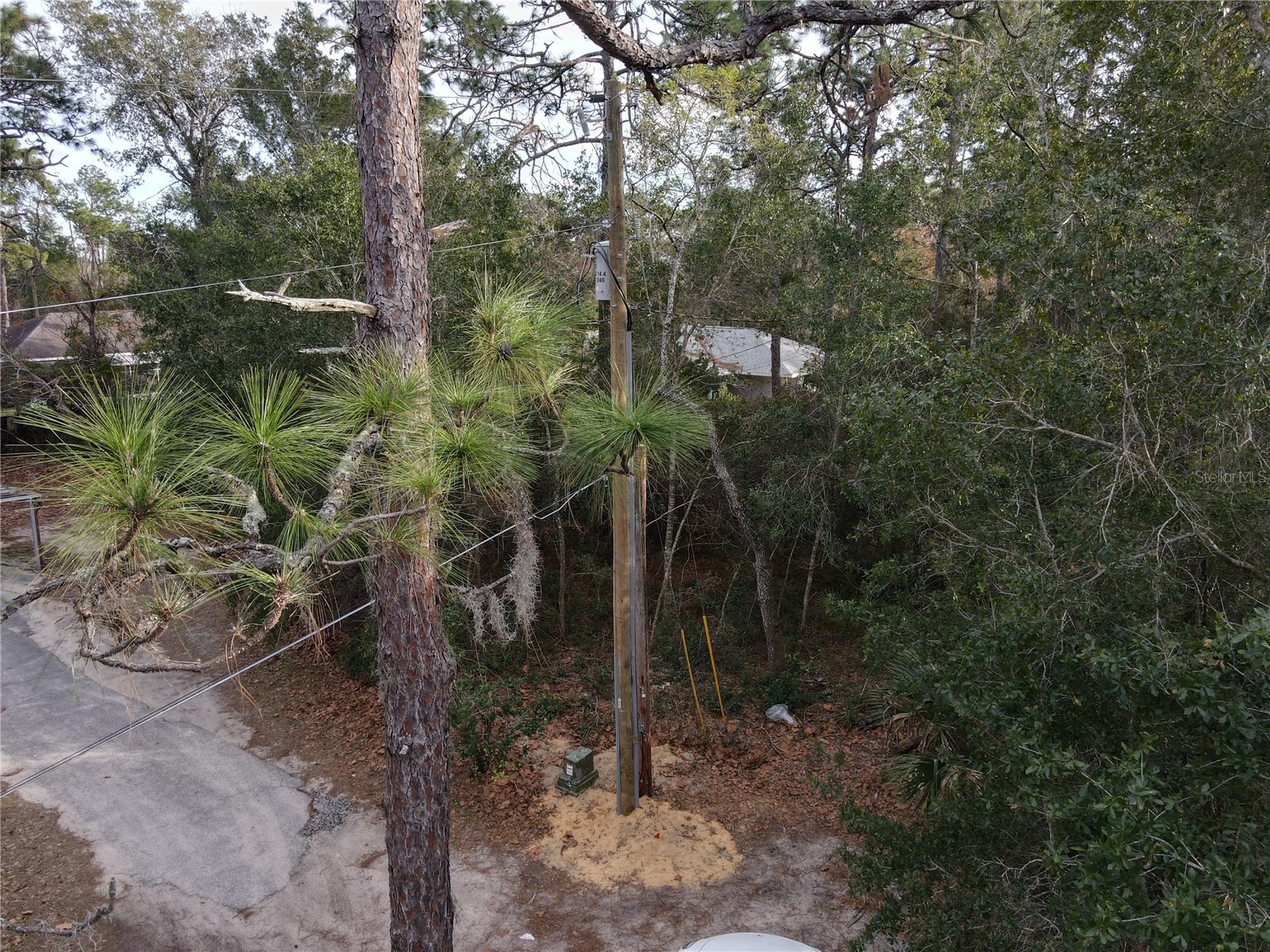 W Seventh Avenue Umatilla FL 32784 G5112281 image3