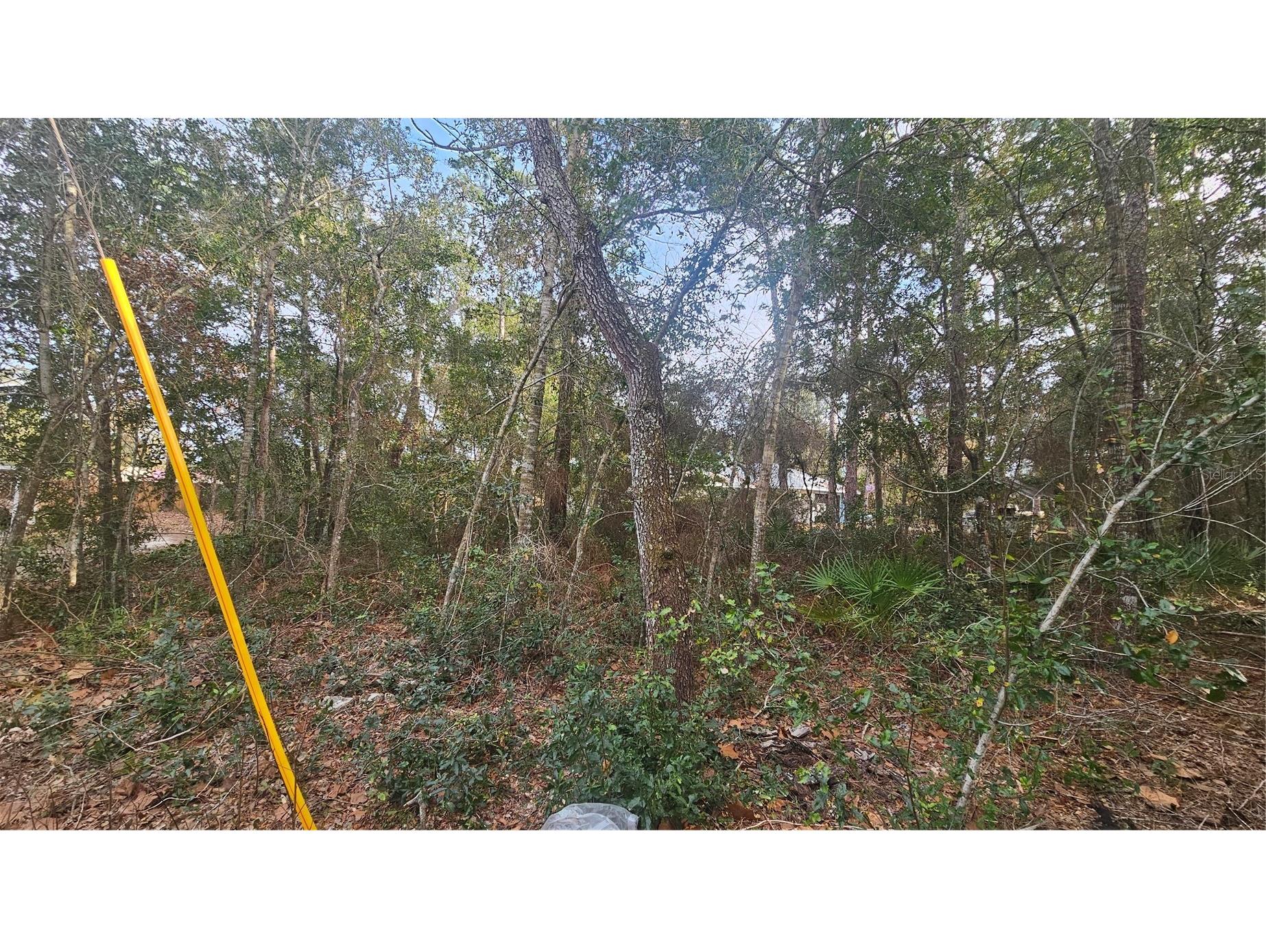 W Seventh Avenue Umatilla FL 32784 G5112281 image6