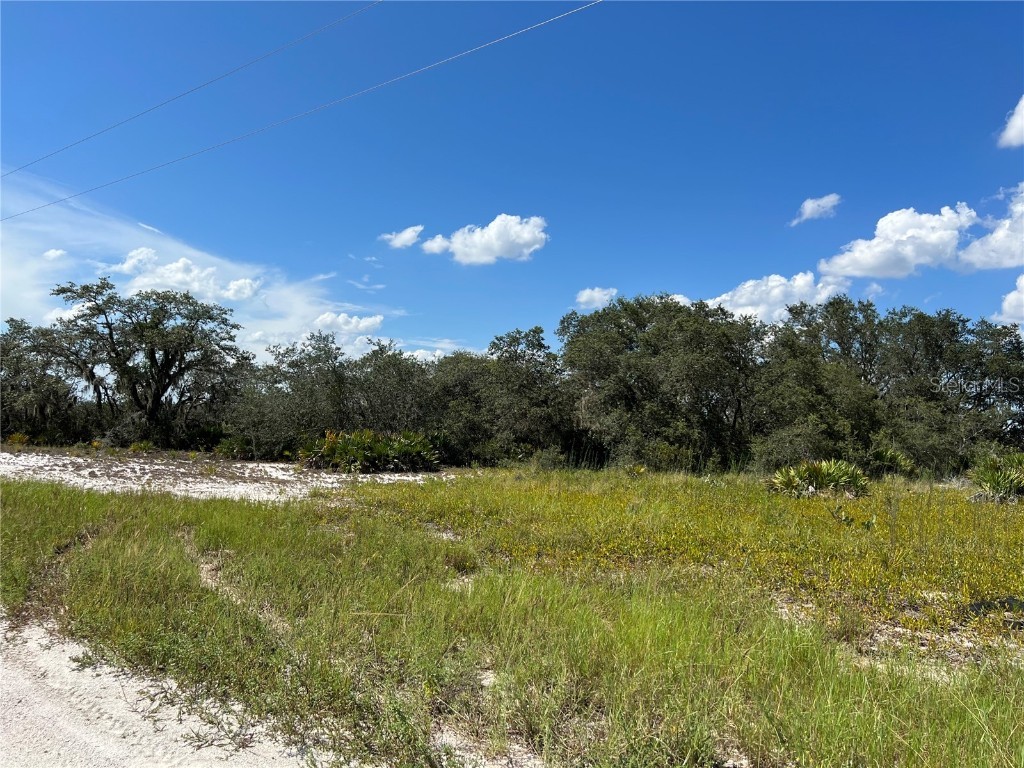 W Shula Road Avon Park FL 33825 U8212801 image1