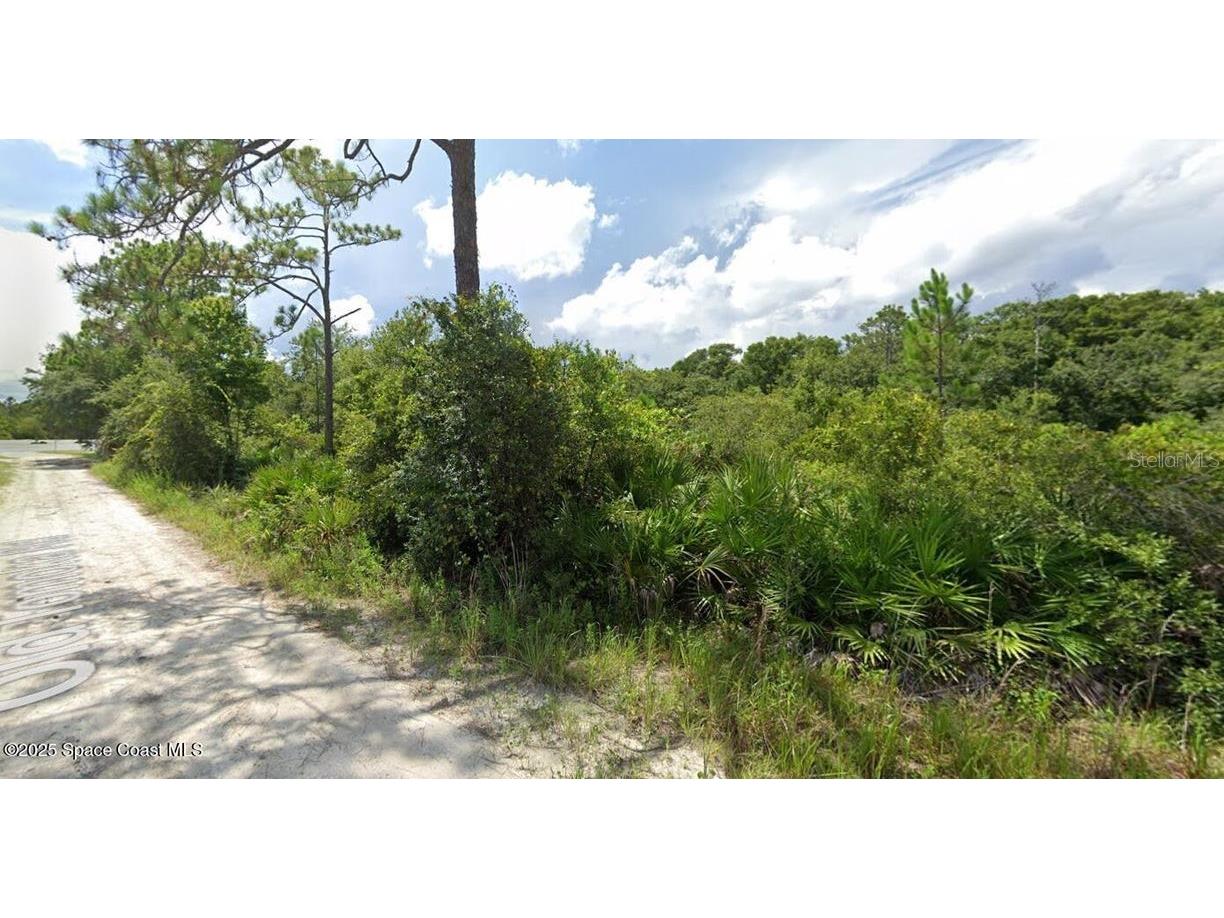 W Sr-40 Ormond Beach FL 32174 - LITTLE TOMOKA RIVER V4944420 image6