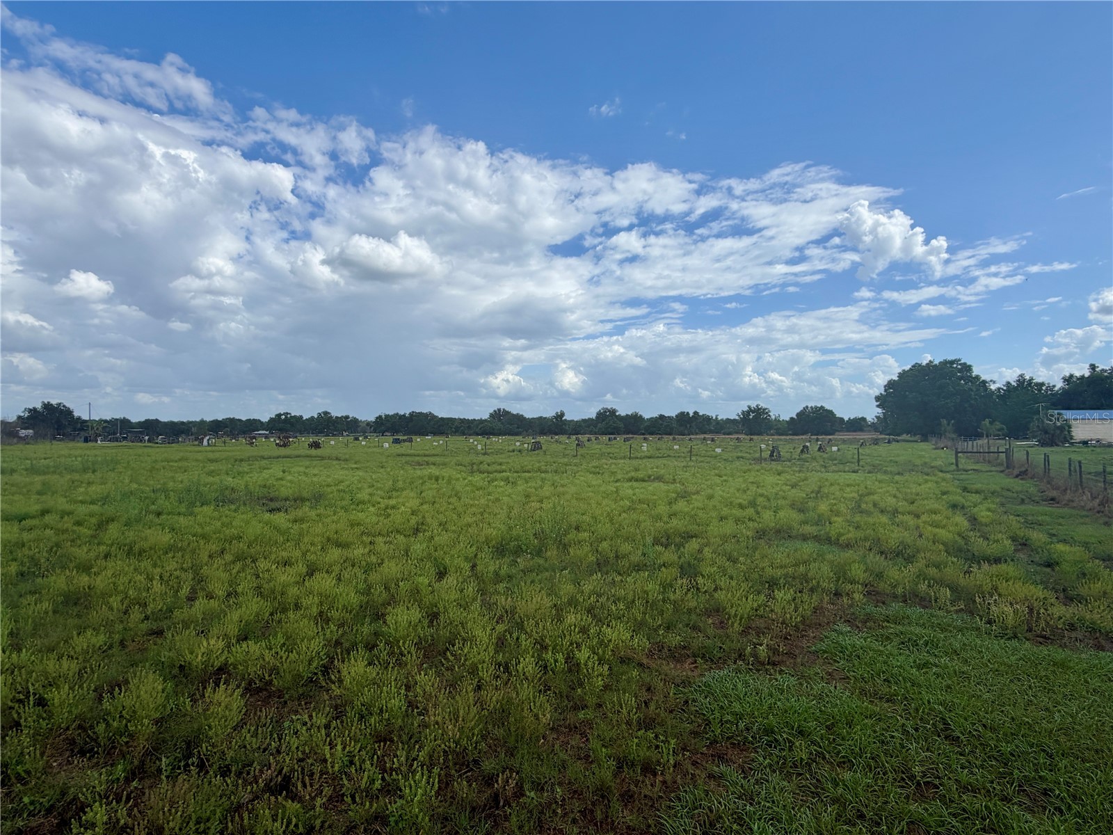 W St Rd 64 Wauchula FL 33873 B4902231 image10