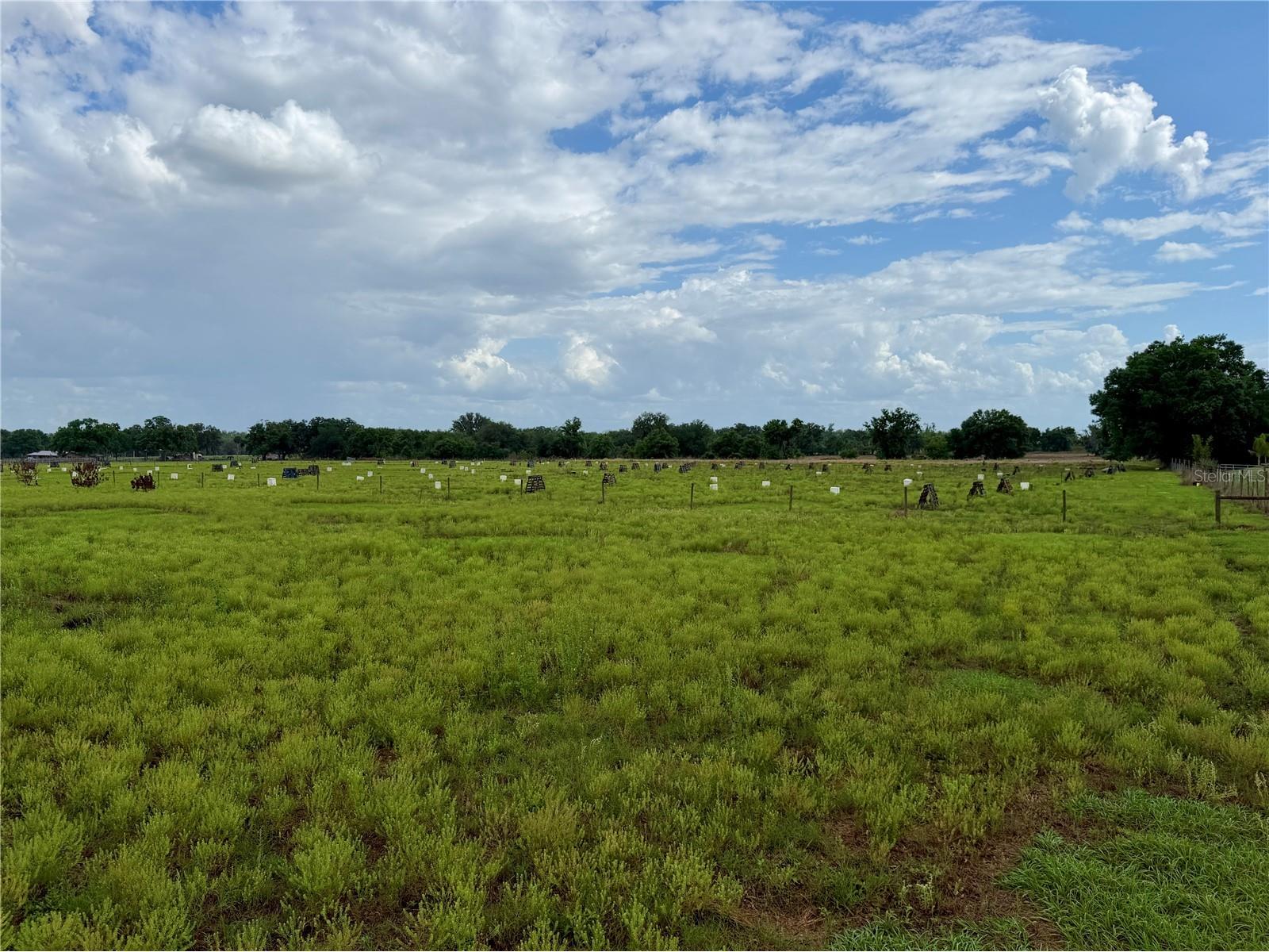 W St Rd 64 Wauchula FL 33873 B4902231 image11