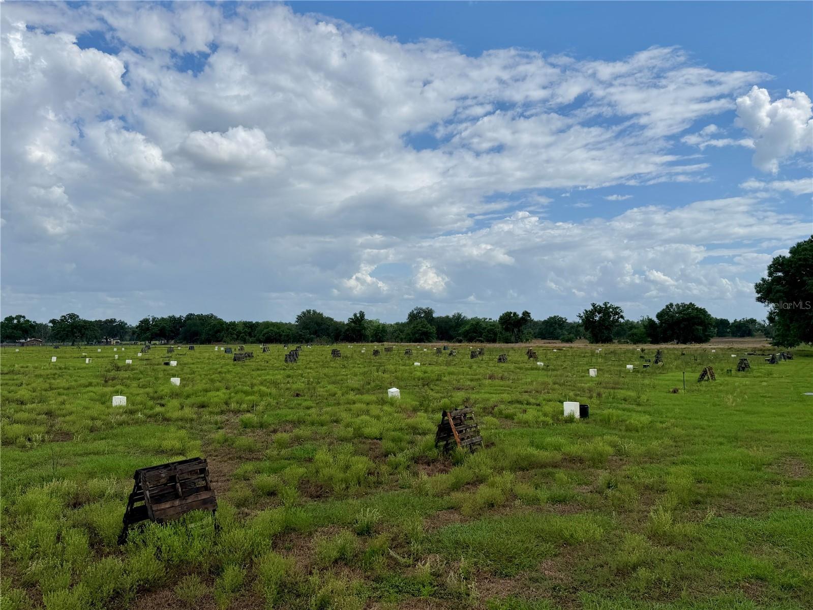 W St Rd 64 Wauchula FL 33873 B4902231 image12
