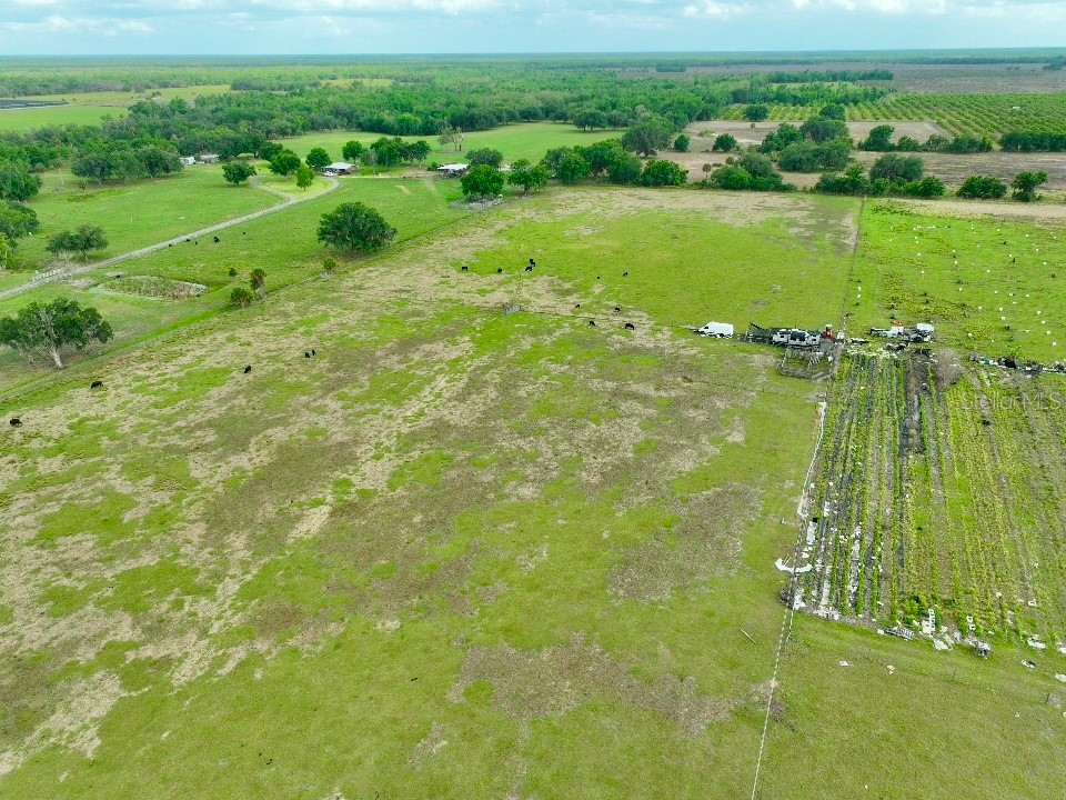 W St Rd 64 Wauchula FL 33873 B4902231 image2