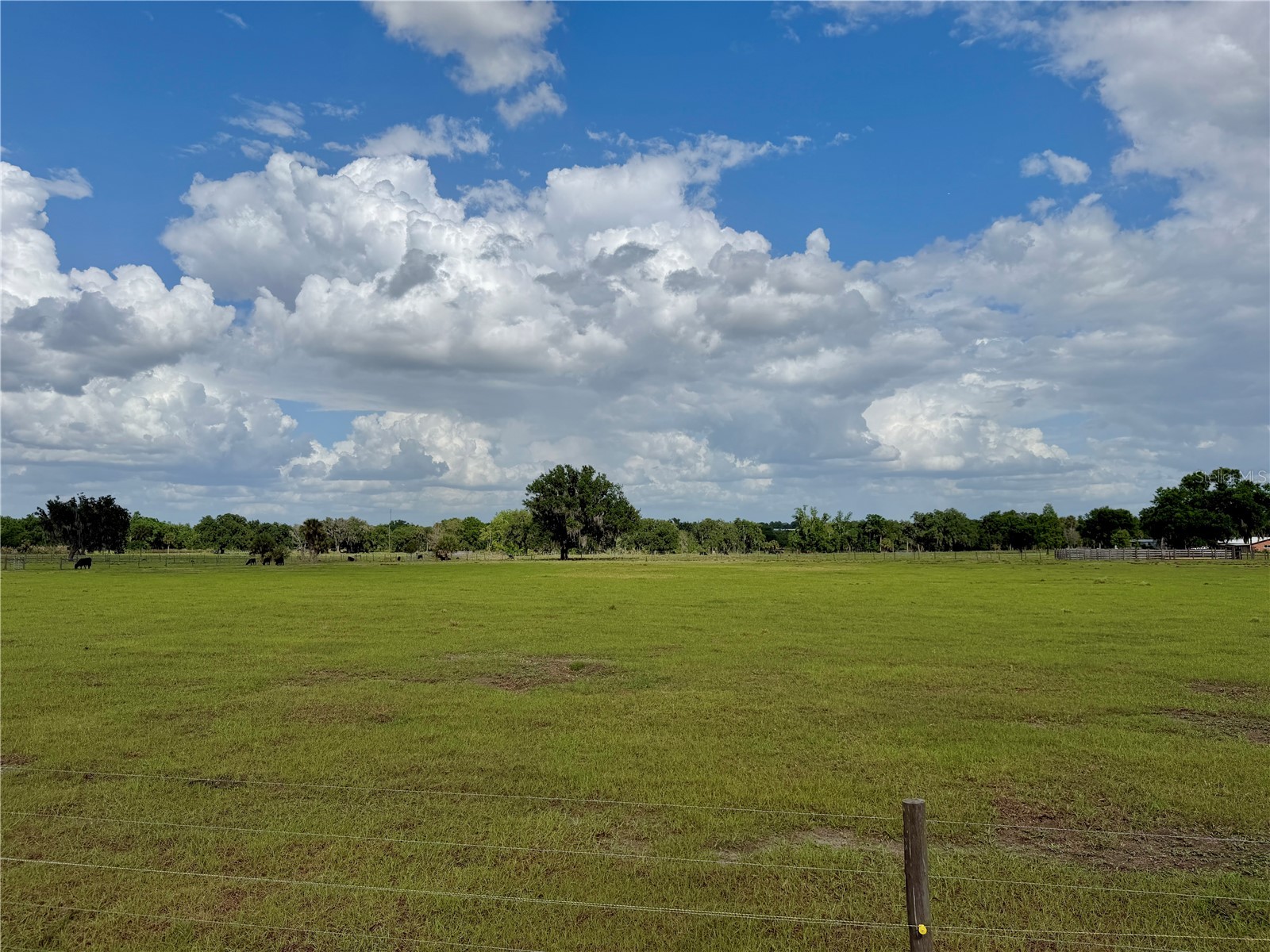 W St Rd 64 Wauchula FL 33873 B4902231 image4