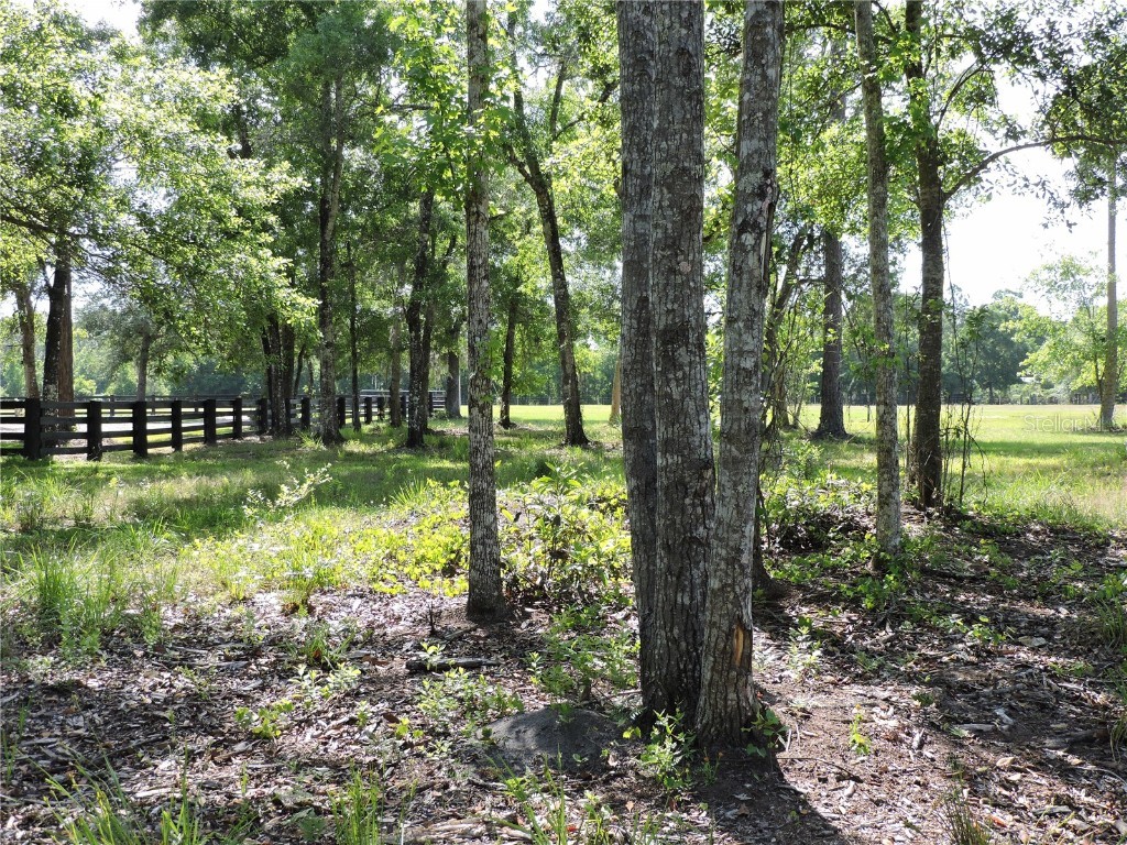 W State Hwy 100 Bunnell FL 32110 FC294916 image1