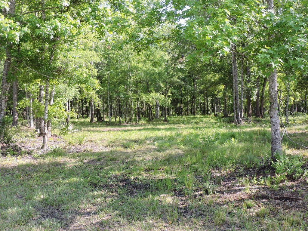 W State Hwy 100 Highway Bunnell FL 32110 FC289786 image1