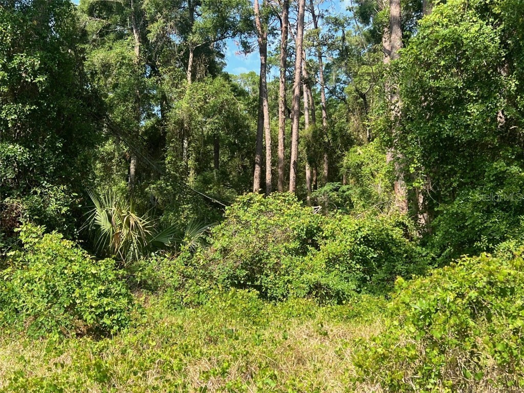 W Taylor Road Deland FL 32720 V4942432 image4