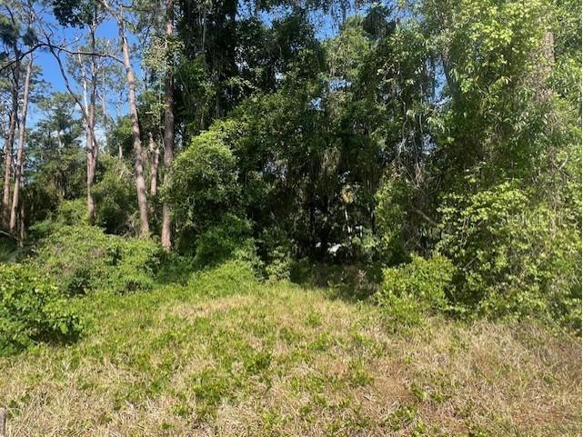 W Taylor Road Deland FL 32720 V4942432 image5