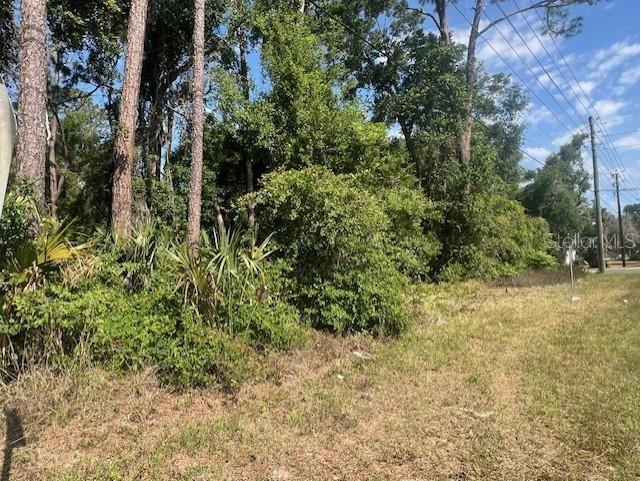 W Taylor Road Deland FL 32720 V4942432 image6