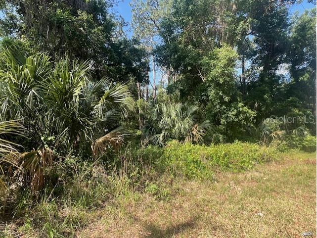 W Taylor Road Deland FL 32720 V4942432 image7